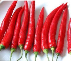 natural red chilli