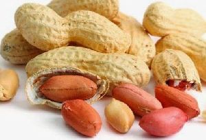 Shelled Groundnuts