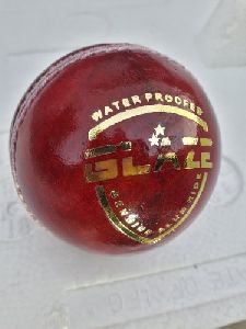 Red Genuine Leather Cricket Ball