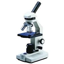 Compound Microscope