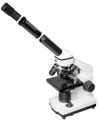 Microscope