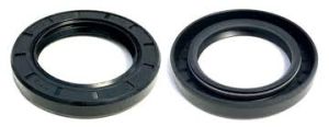 Oil Seal