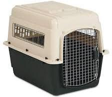 dog kennel