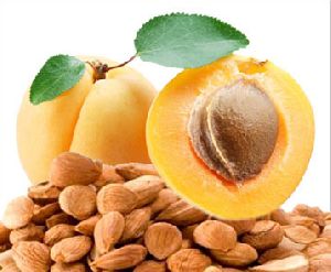 Apricot Kernels