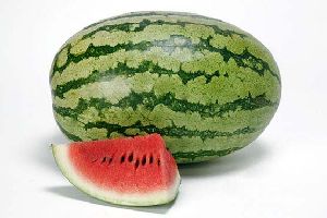 F1 Watermelon Seeds