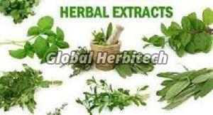 Herbal Extracts