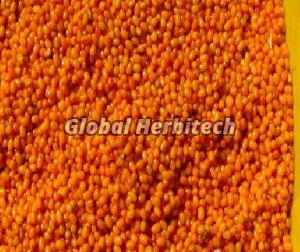 Hippophae Rhamnoides Tea