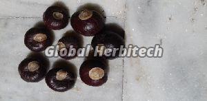 Horse Chestnut Tea