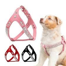 dogs collar