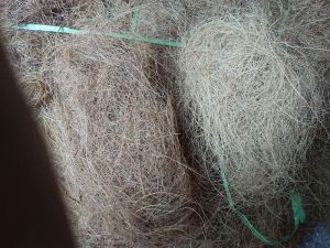 Coconut Fibre