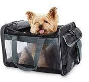 pet carrier