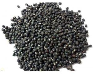 Black Urad Dal