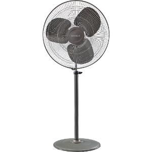 HAVELLS WINDSTORM PEDESTAL FAN 500 MM