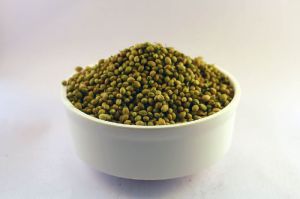 Coriander Seeds