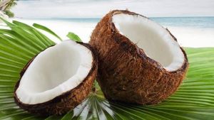 Fresh Coconut