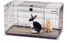 Rabbit Cage