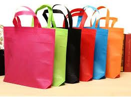 Non Woven Shopping Bag