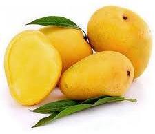 yellow mango