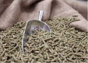 Organic Fish Feed Pellet