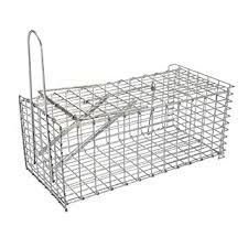 Rat Cage Trap