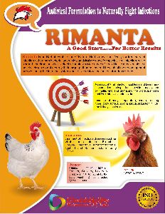 Rimanta