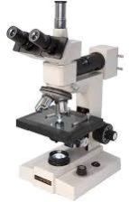 Trinocular Microscope