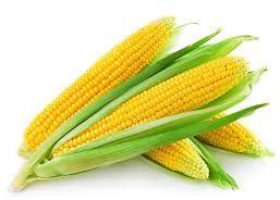 Sweet Corn