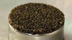 Caviar