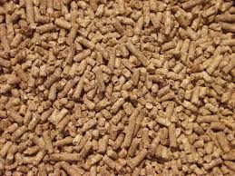 Cattle Feed