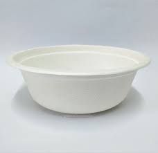 Biodegradable Big Bowl