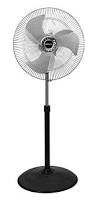 Pedestal Fans