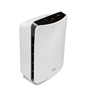 air purifier system