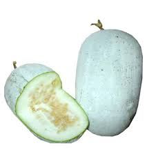 Ash Gourd