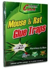 mouse glue trap