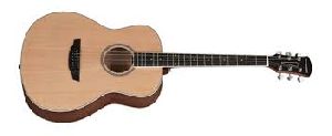 Acoustic Guitar