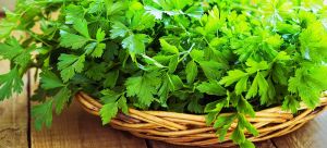 Parsley Leaves