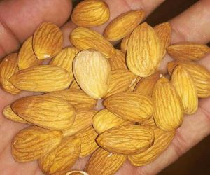 california almond