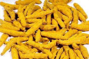 Natural Turmeric Finger