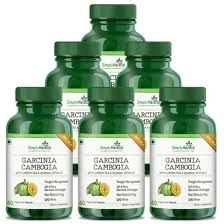 Garcinia Cambogia magic bullet treament for fat