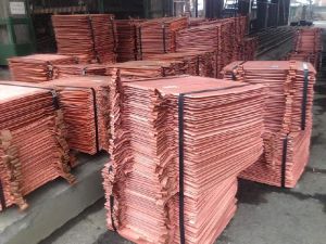 Copper Cathodes