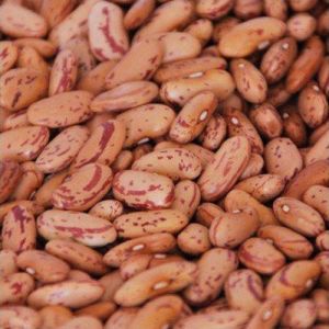 Kidney Beans