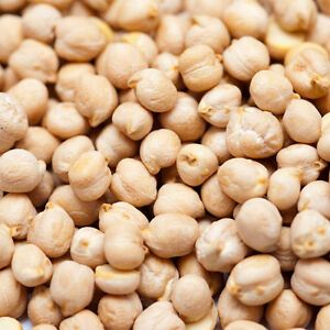 Kabuli Chickpea