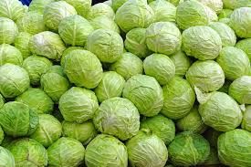 Fresh Cabbage