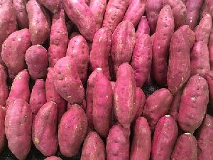 Fresh Sweet Potato