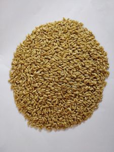 Natual Lokone Wheat grain