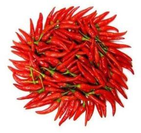 organic red chilli