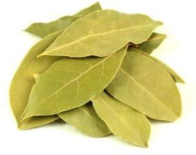 Bay Leaf