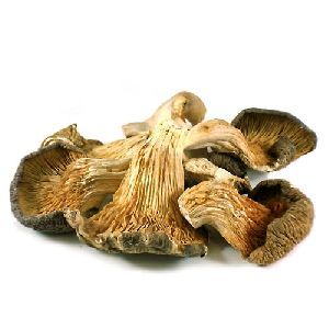 Dried Whole Oyster Mushroom