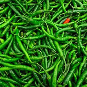 Fresh Green Chili