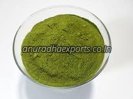 Dry Moringa Leaves Powder